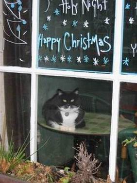 happy christmas