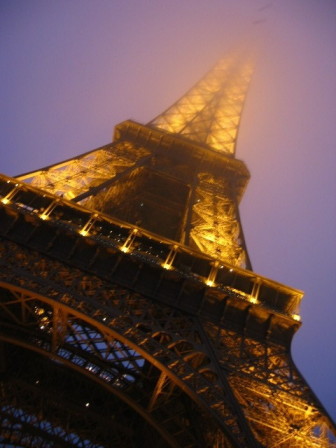 Bergre  Tour Eiffel, le troupeau des ponts ble ce matin
