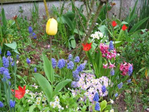 Sur le fil d'avril, des fleurs de toutes les couleurs