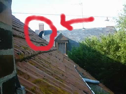 suivez la flèche pour trouver le chat