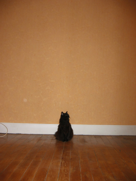 Le grand vide
