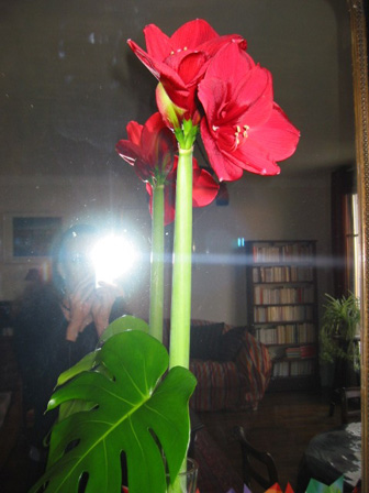 De l'autre ct du miroir