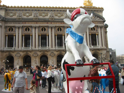 Une vache devant l'opra